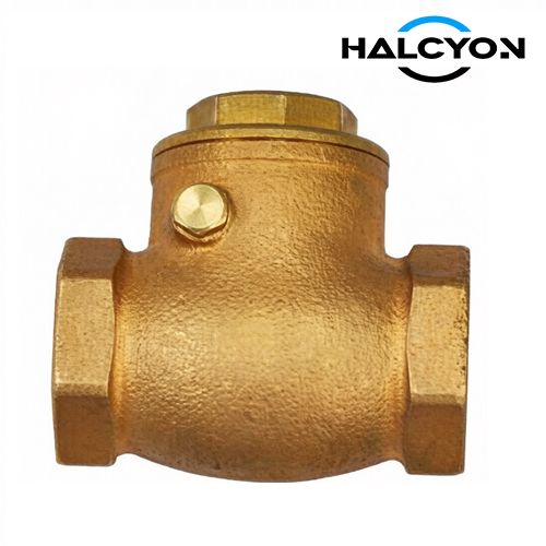 DIN Bronze Female Threaded Swing Check Valve